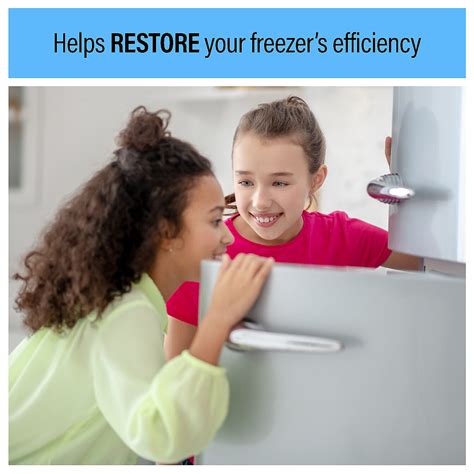 Image result for Freezer Defroster