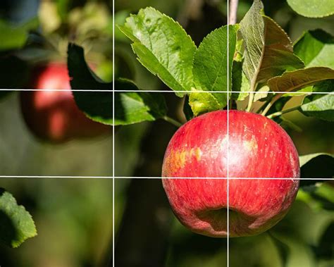 Image result for Beginner Acrylic Tutorial