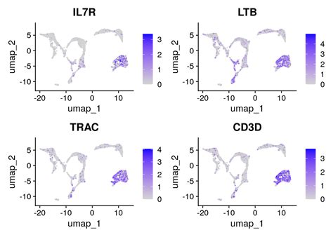 Image result for Cell Annotation