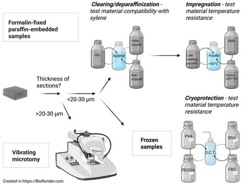 Histological Processing of Scaffolds: Challenges and Solutions