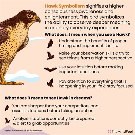 Hawk Symbolism | Hawk Meaning | Hawk Spirit Animal | Hawk Spiritual Meaning