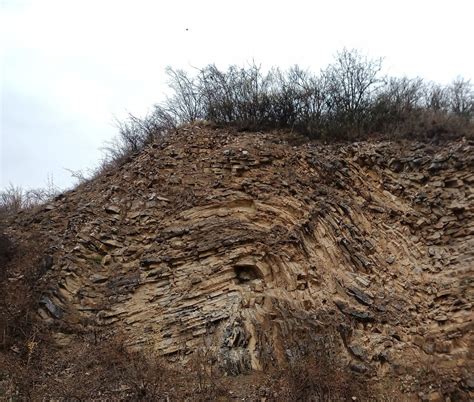 PLNÁ KAPACITA: Hády, brněnský kopec tří moří, Zikova, 628 00 Brno ...