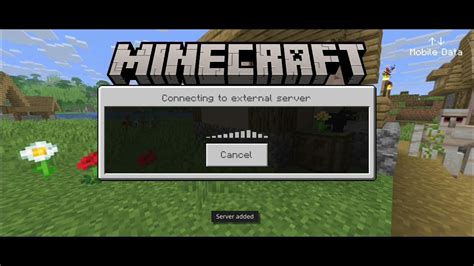 SMP IP Java 的图像结果