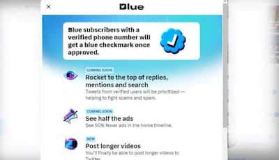 Twitter Blue: Microblogging's Montly Paid Subscription Plan for Blue ...