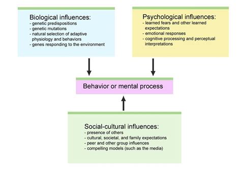 Biological Approach Examples 的图像结果