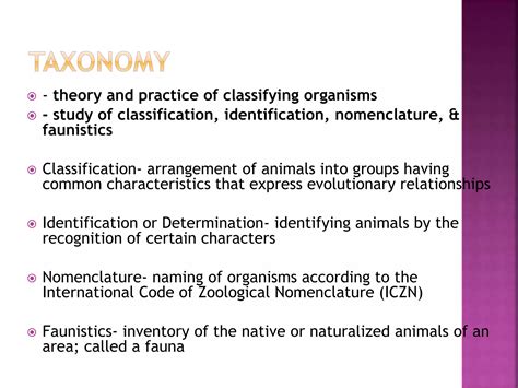 Image result for Taxonomy Basics