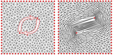 Injective Mapping Check Algorithm 的图像结果