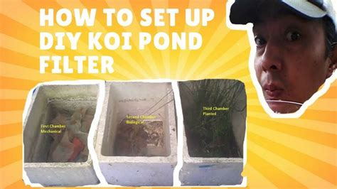 Image result for How Set Up Koi Vortex Filter System