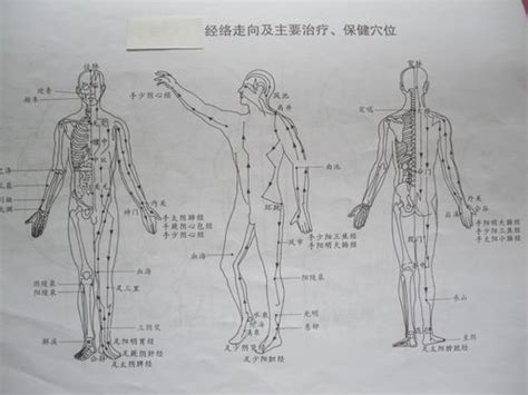 著名中医针灸大师祝总骧，自创“312”经络锻炼法，活到一百岁 - 知乎