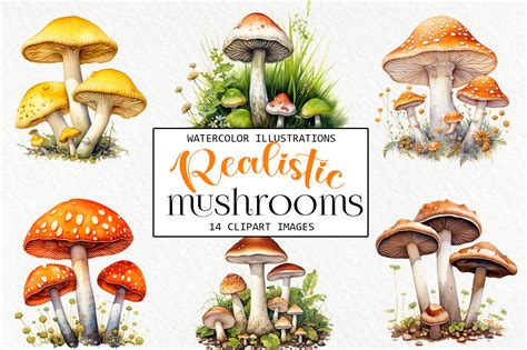 Mushroom Clip Art Stock Images – Vintage Mushroom Clip Art