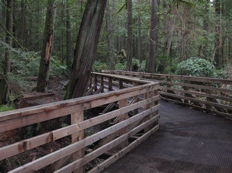 THE BEST Places to Visit in Qualicum Bay (2026)