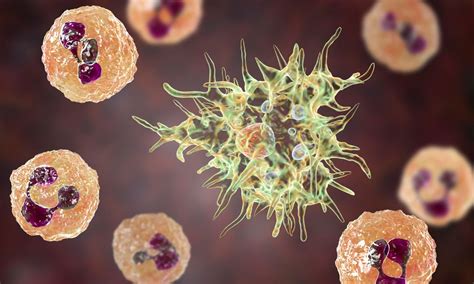 Rare Acanthamoeba Infection Strikes 18-Year-Old at Thiruvananthapuram