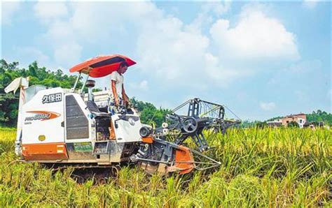 重庆主要农作物耕种收综合机械化率达45%_央广网