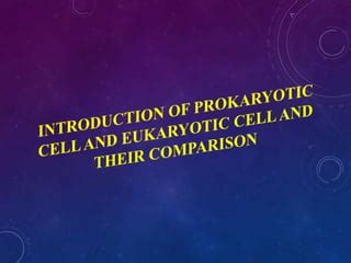 Image result for Cell Biology Lecture
