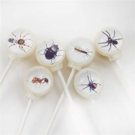 Bug Lollipops 6-piece Set by I Want Candy! - Etsy
