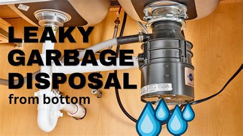 How to Fix Garbage Disposal 的图像结果