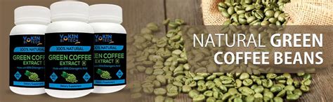 Vokin Biotech Natural Green Coffee Extract Made with 65% GCA Supplement ...