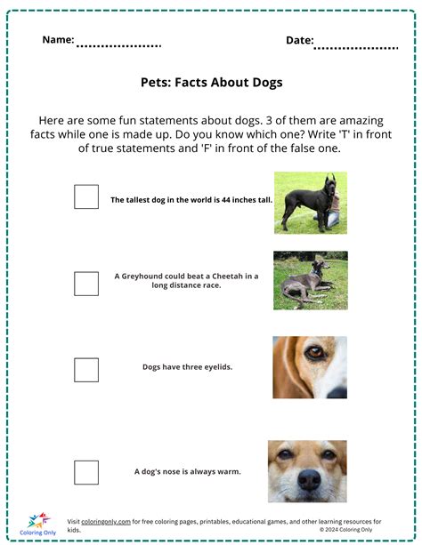 Dog Facts For Kids Printable
