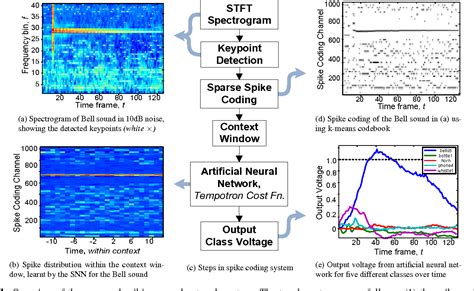 Image result for Neural Coding