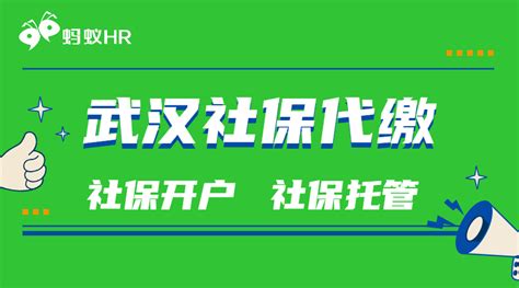 武汉社保新系统2月中旬上线 你想关注的问题都在这里凤凰网湖北_凤凰网