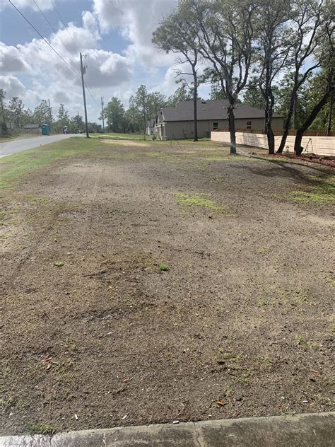 I have a seeded (La prima variety) Bermuda lawn that I seeded last ...