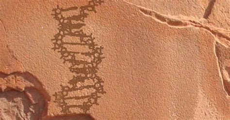 Ancient DNA Ages First Human Exodus | Ancient Origins