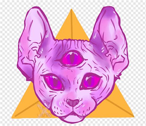 Image result for Cat Sketch Tutorial