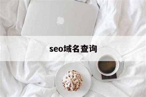 seo域名查询(seo1是哪里的域名) - 杂七乱八 - 源码村资源网