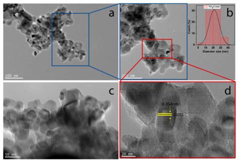 Design of Novel Photocatalytic Films for the Protection of ...