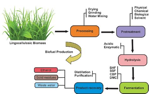 Biofuel Process 的图像结果