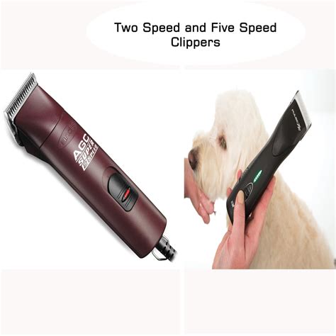 Difference Between Two and Five-Speed Clippers – ABK Grooming