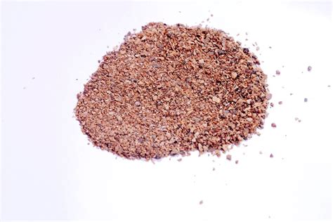 RK Seeds Fig Trees seeds, Ficus religiosa seeds,Peepal tree,bodhi tree ...