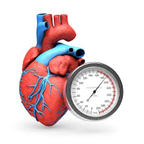 Hypertension Risk Prediction Dataset | Kaggle