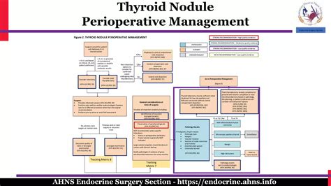 North American quality statements and evidence based multidisciplinary ...