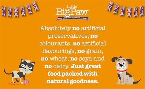 Little BigPaw Turkey with Brocolli, Carrots & Cranberries in A Rich ...