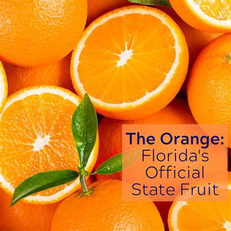 Know Your Florida – Thompson Earth Systems Institute