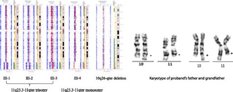Chromosome Microarray Analysis 的图像结果