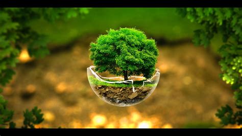 Image result for HTML Chat Box