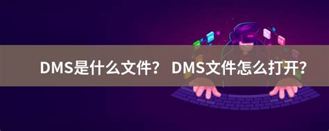 DMS File 的图像结果
