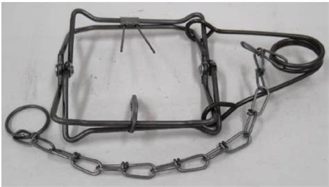 Body Grip Trap Modifications 的图像结果