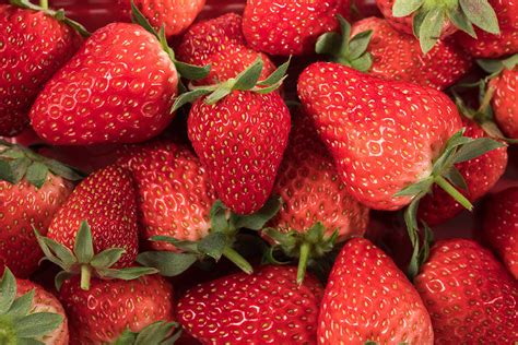 莓农叫苦连天，吃草莓究竟会不会导致出血热？_症状_老鼠_治疗