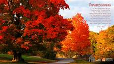 Thanksgiving Wallpapers by Thanksgiving Hd Wallpapers Wallpaper Cave Thanksgiving Wallpapers