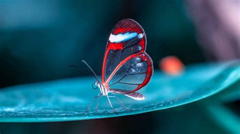 Image result for Security Posture Assessment