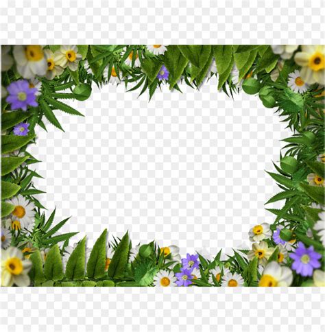 Image result for Spring Picture Border Texture PNG