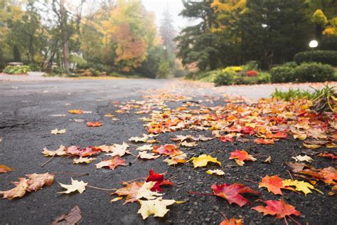 Image result for Change Background