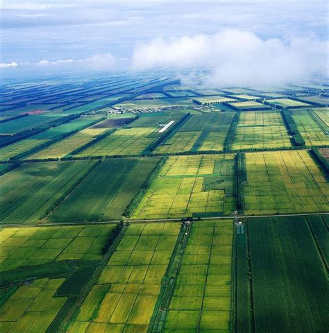 农田 的图像结果