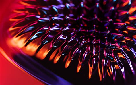 Image result for Pytorch Cover