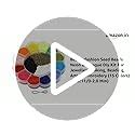 Beadsnfashion Glass Seed Beads DIY Kit for Jewellery Making, Beading ...