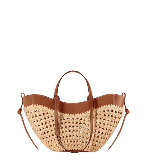 Rezultat imagine pentru Cyme Database