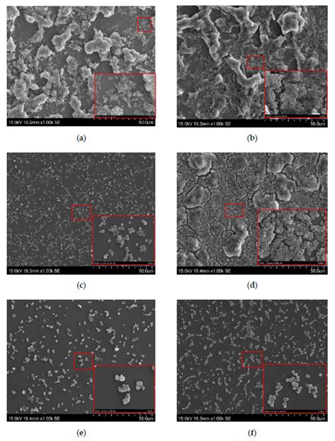 Inhibition of Biofilm Formation of Foodborne Staphylococcus aureus by ...
